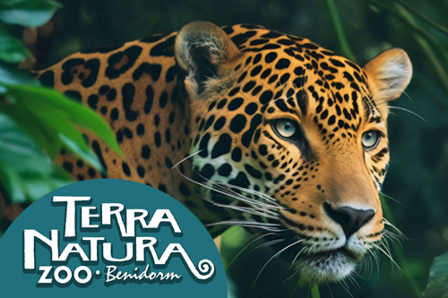 Terra Natura Benidorm