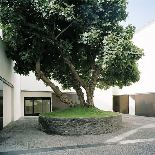 Untitled Image