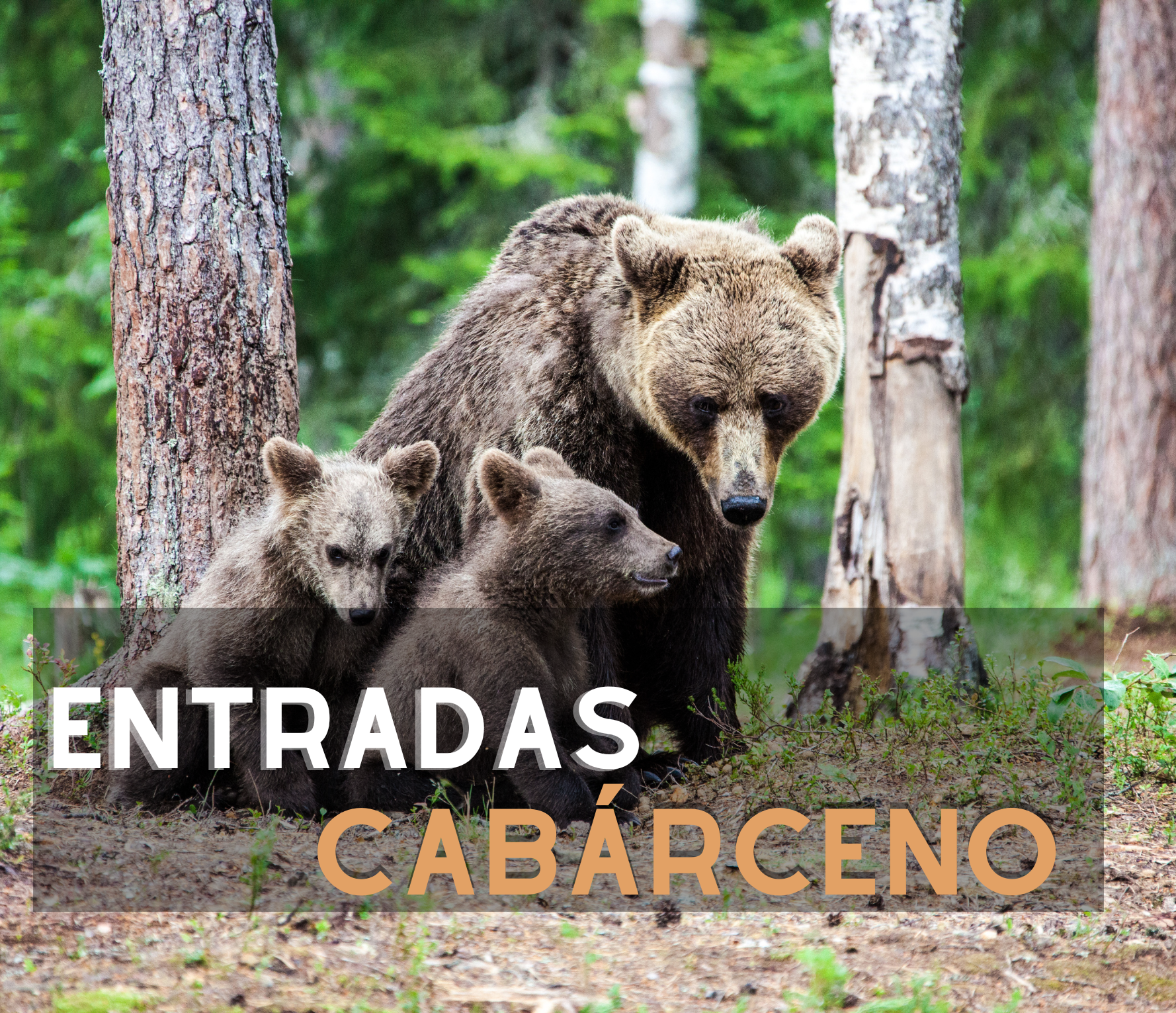 Entradas a Cabárceno